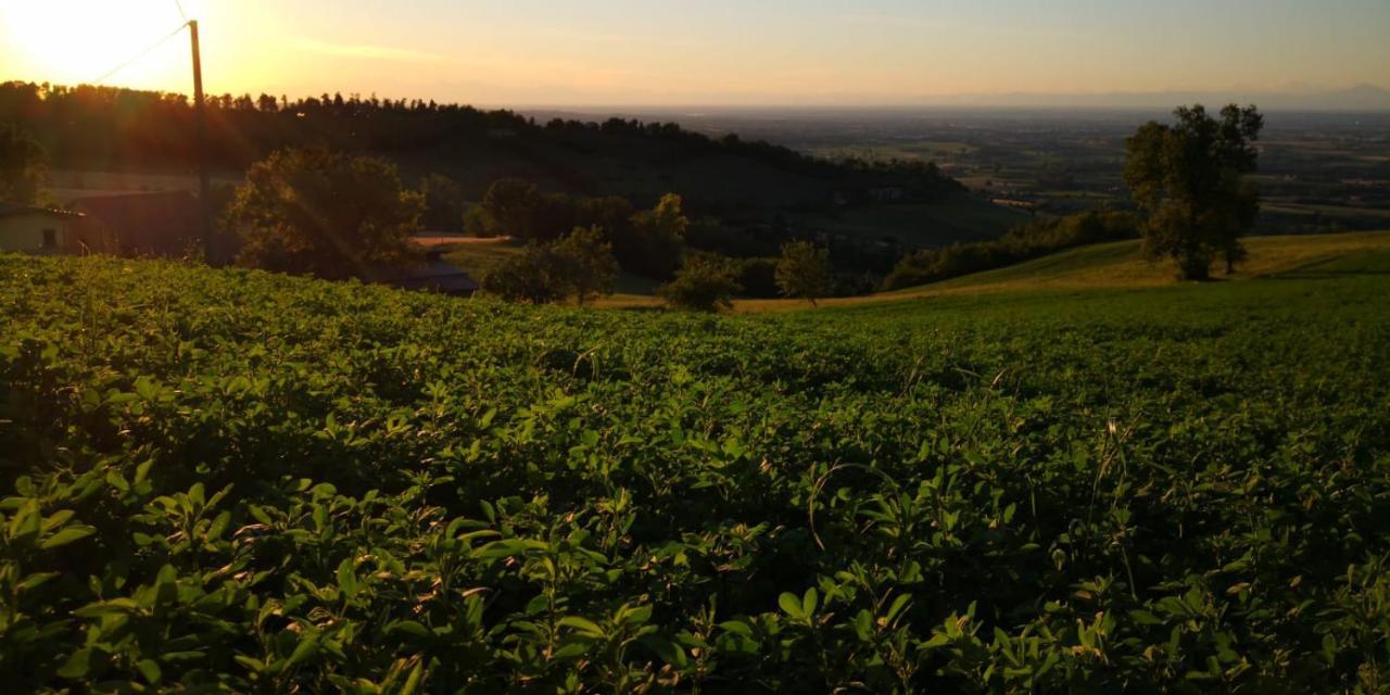 Agriturismo Agronauta Villa Piozzano Luaran gambar