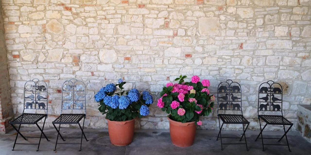Agriturismo Agronauta Villa Piozzano Luaran gambar