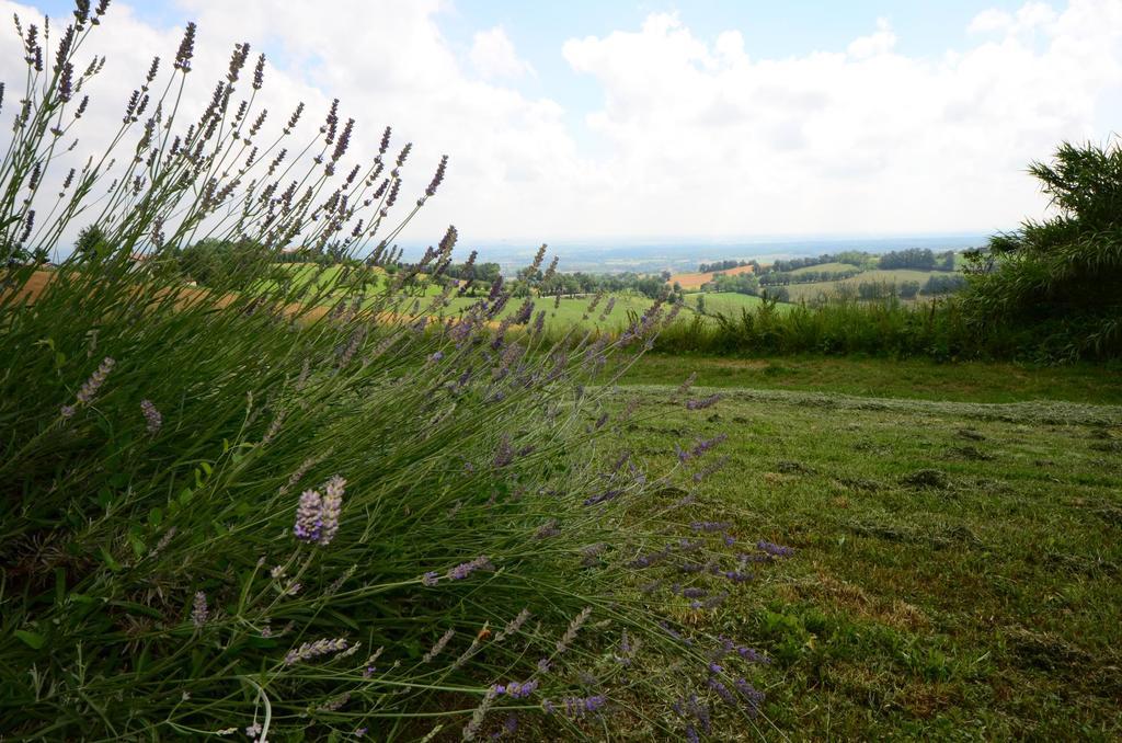 Agriturismo Agronauta Villa Piozzano Luaran gambar